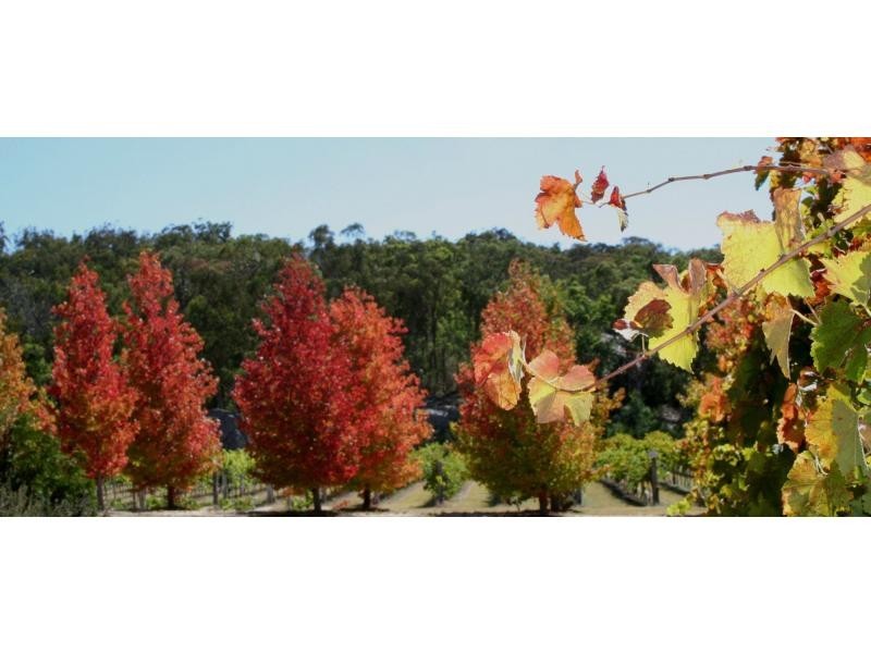 26 Donnellys Castle Road, The Summit, Stanthorpe QLD 4380