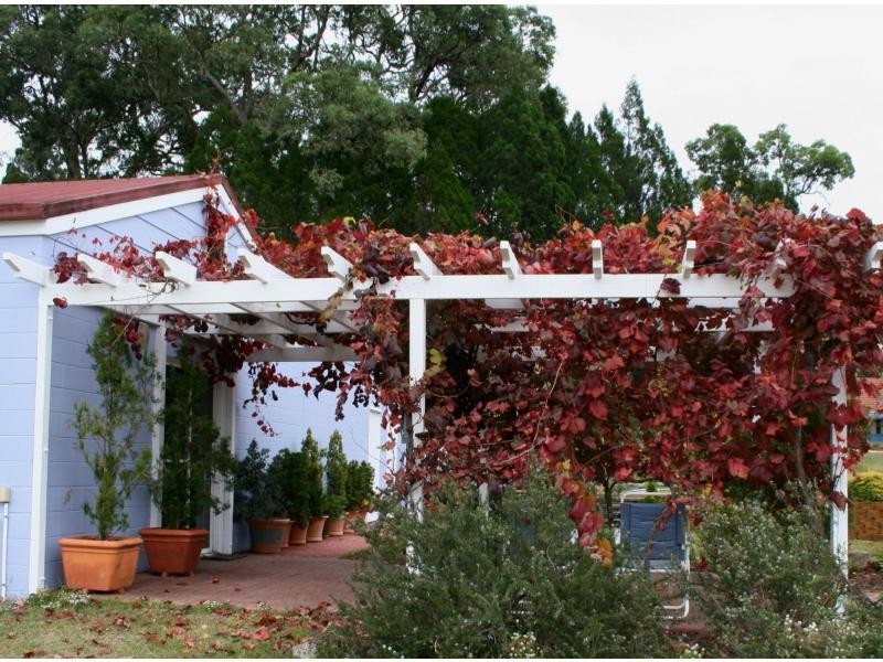 26 Donnellys Castle Road, The Summit, Stanthorpe QLD 4380