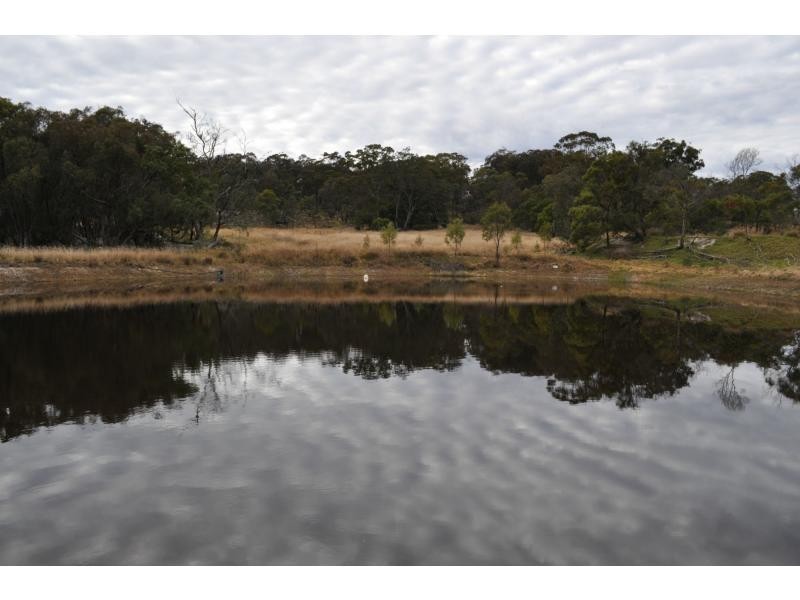 1114 Rabbit Fence Road, Pozieres, Stanthorpe QLD 4380