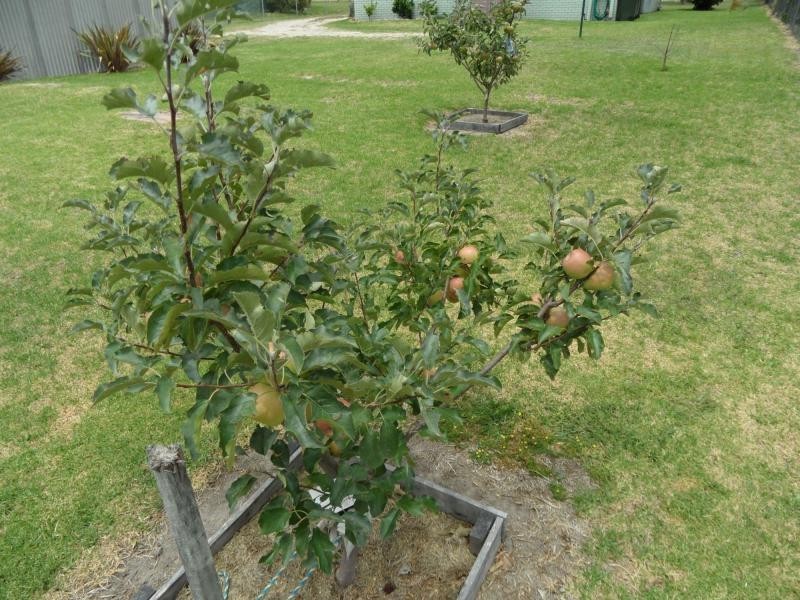 82 Sugarloaf Road, Stanthorpe QLD 4380