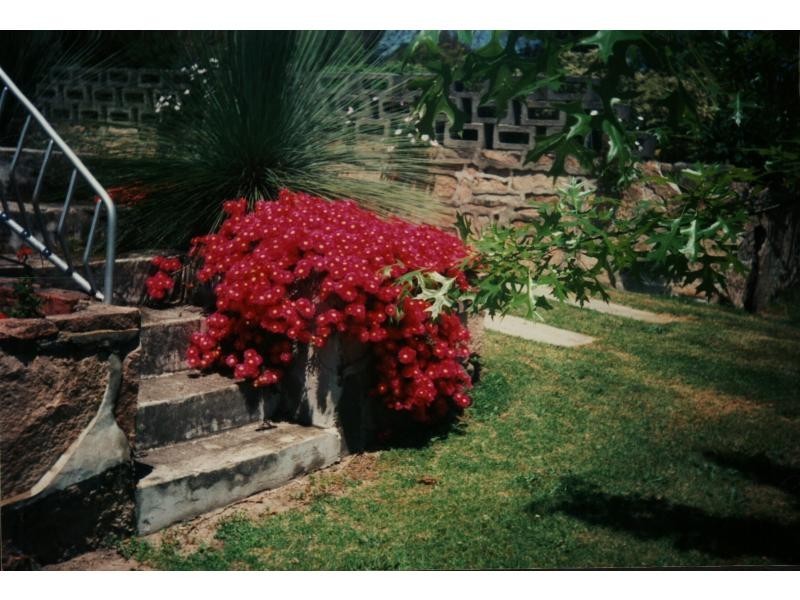 21 Rayleigh Street, Wallangarra, Stanthorpe QLD 4380