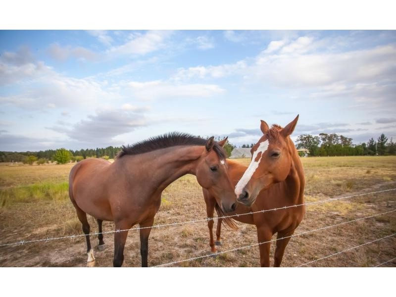 540 Old Warwick Road, The Summit, Stanthorpe QLD 4380