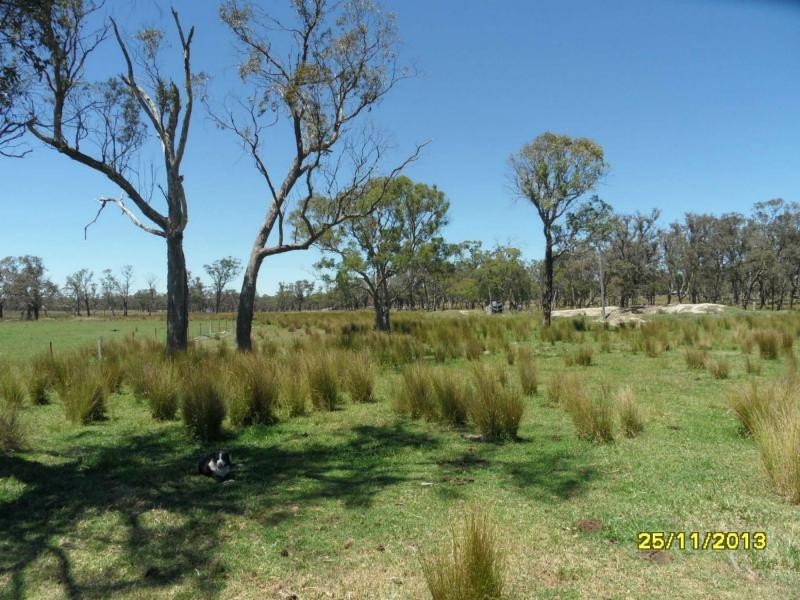 38 Hopgood Lane, The Summit, Stanthorpe QLD 4380