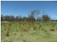 38 Hopgood Lane, The Summit, Stanthorpe QLD 4380