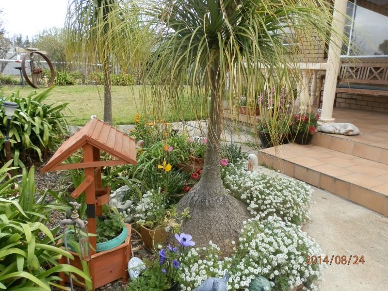27 Sorrento Road, Dalveen, Stanthorpe QLD 4380