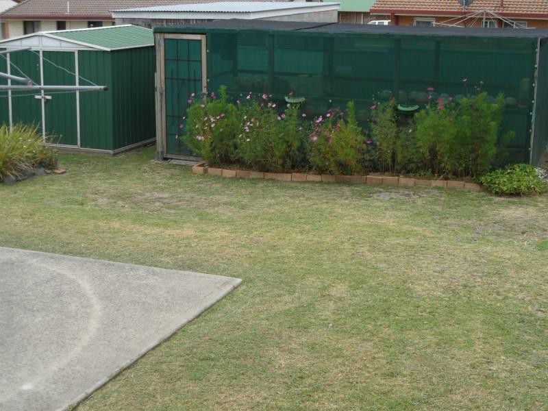 4 Ellevsen Street, Stanthorpe QLD 4380