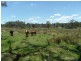 Stanthorpe QLD 4380