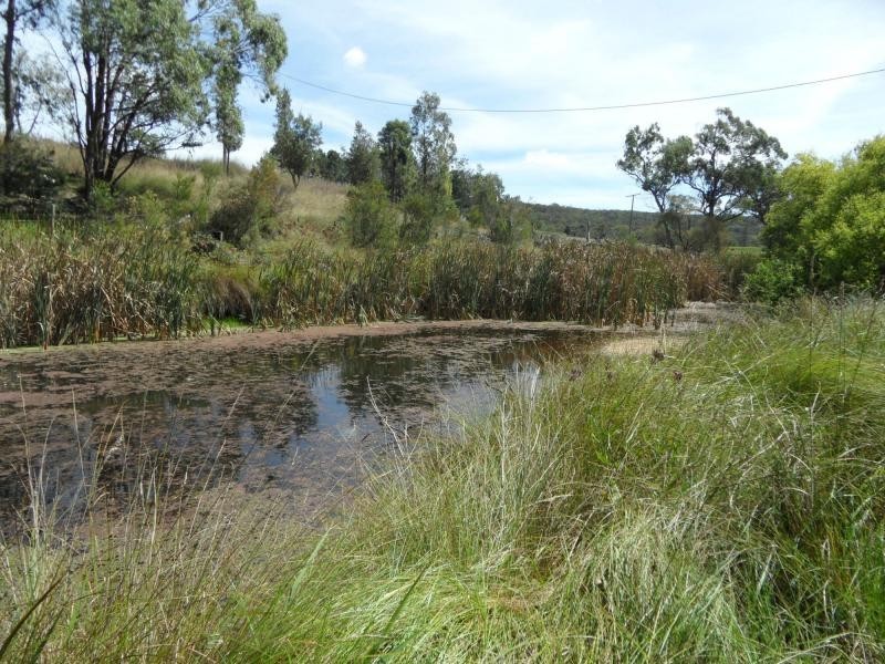 214 Caves Road, Stanthorpe QLD 4380