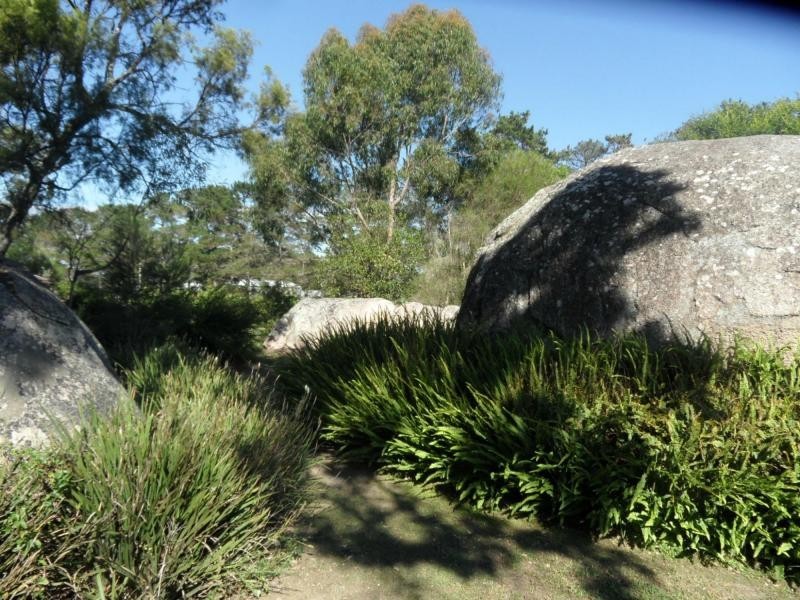 132 Pozieres School Road, Pozieres, Stanthorpe QLD 4380