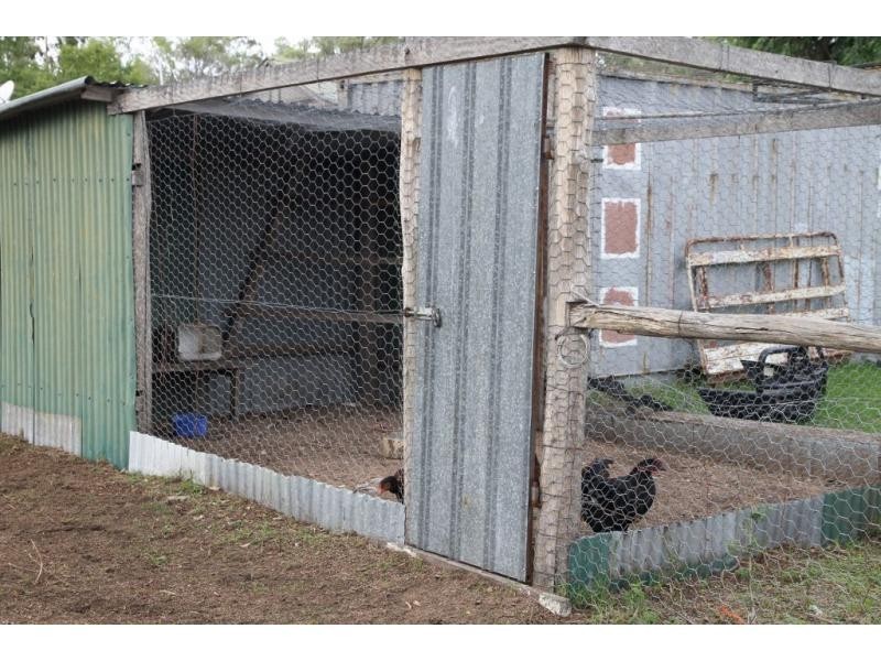 2223 Rabbit Fence Road, Stanthorpe, Dalveen QLD 4374