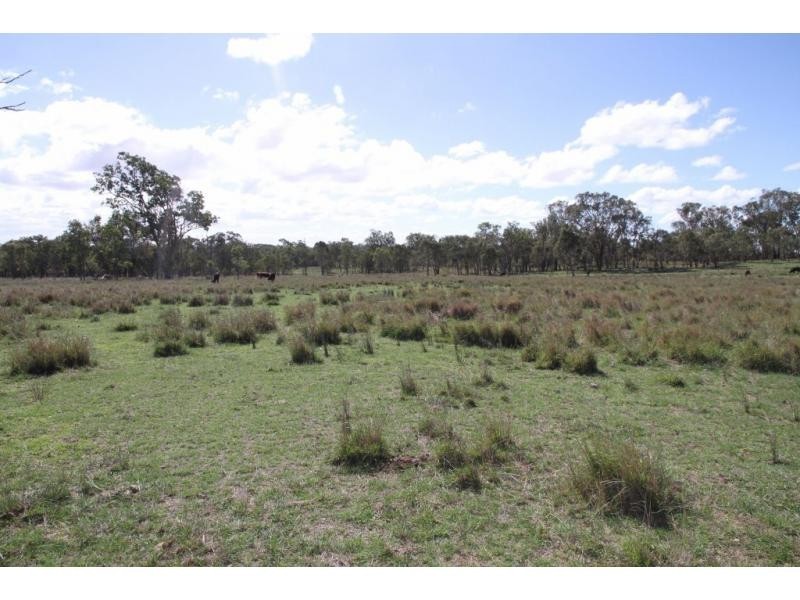 2223 Rabbit Fence Road, Stanthorpe, Dalveen QLD 4374