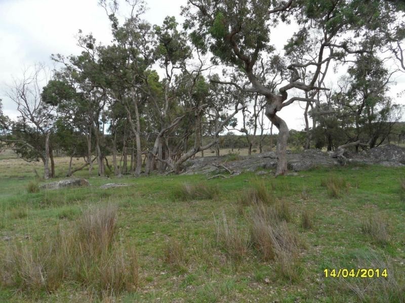 146 Reilly Road, Stanthorpe, Stanthorpe QLD 4380