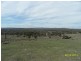L15 Springdale Road, Stanthorpe, Stanthorpe QLD 4380
