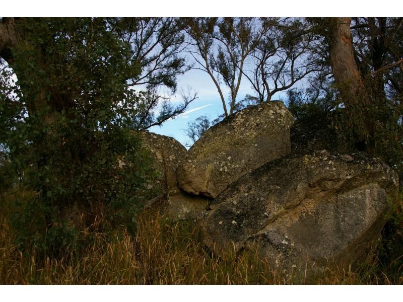 29 Ellerington Road, Cannon Creek, Stanthorpe QLD 4380