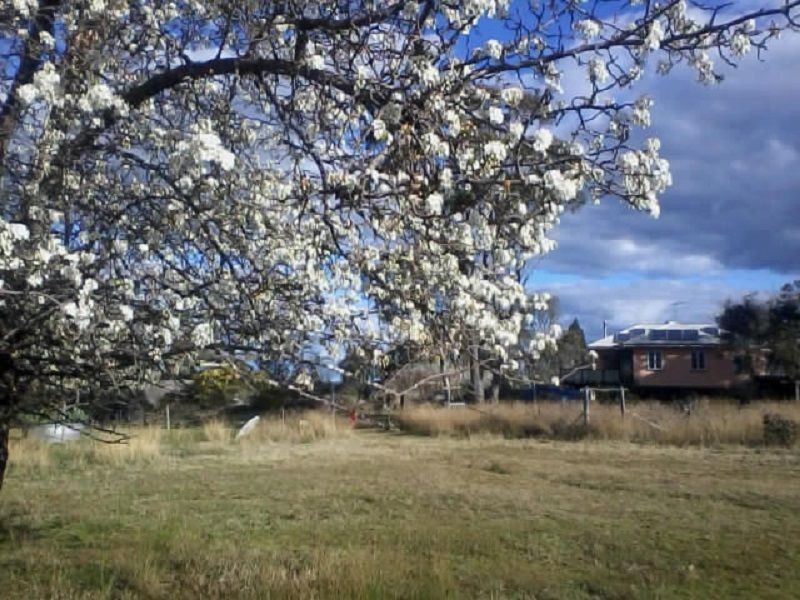 197 Ellwood Road, Applethorpe, Stanthorpe QLD 4380