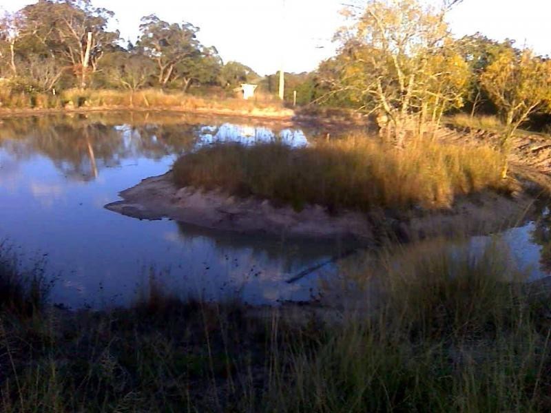 197 Ellwood Road, Applethorpe, Stanthorpe QLD 4380