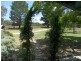 197 Ellwood Road, Applethorpe, Stanthorpe QLD 4380
