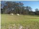 L541 Herding Yard Creek Road, Liston, Liston NSW 2372
