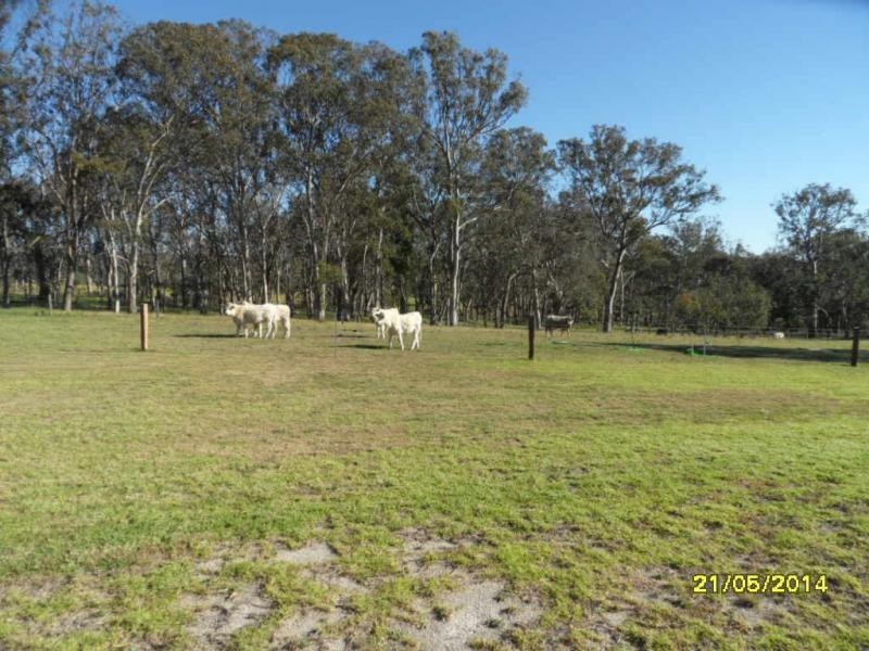 L541 Herding Yard Creek Road, Liston, Liston NSW 2372