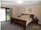 L541 Herding Yard Creek Road, Liston, Liston NSW 2372