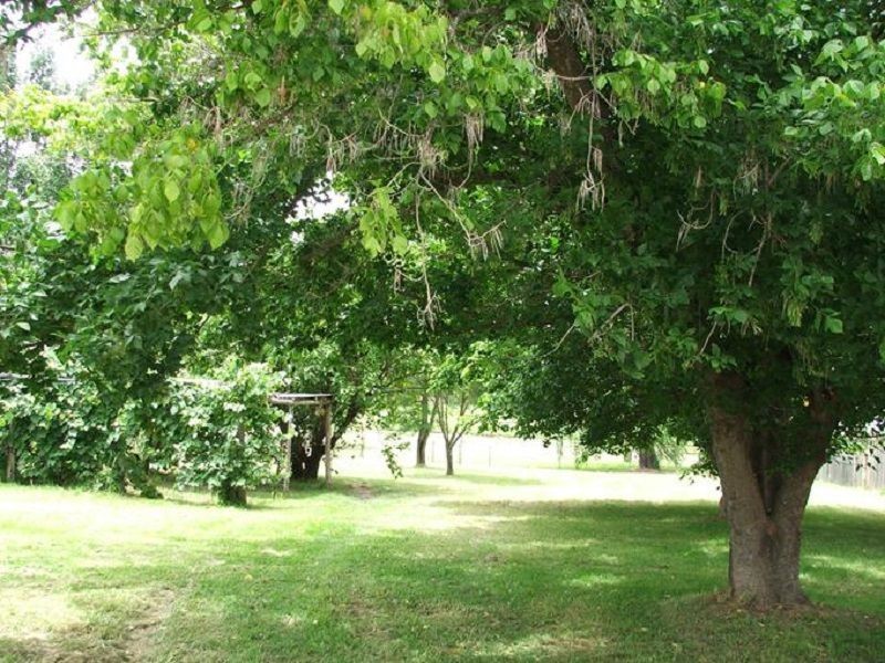 31 Denham Street, Stanthorpe QLD 4380