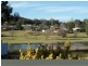 20 Leslie Parade, Stanthorpe QLD 4380