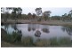 L22 Mt Janet Road, Amiens, Stanthorpe QLD 4380