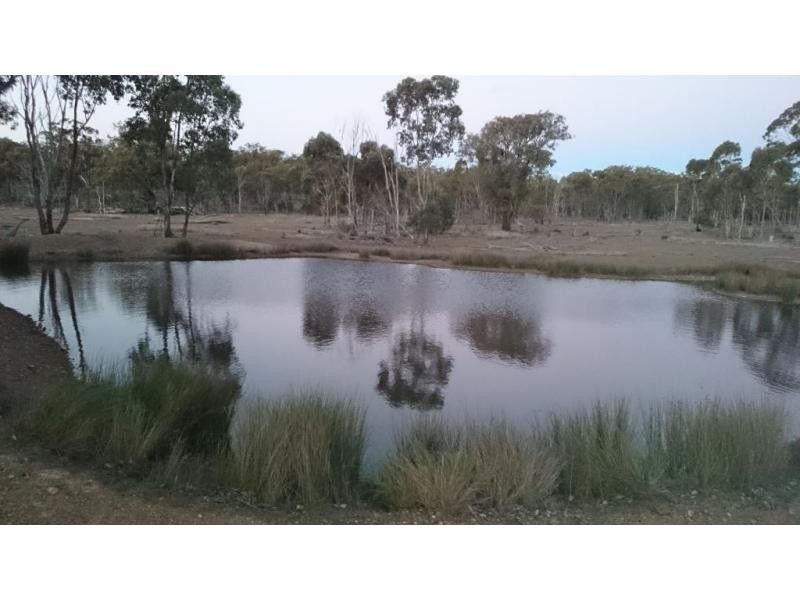 L22 Mt Janet Road, Amiens, Stanthorpe QLD 4380