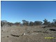 L22 Mt Janet Road, Amiens, Stanthorpe QLD 4380