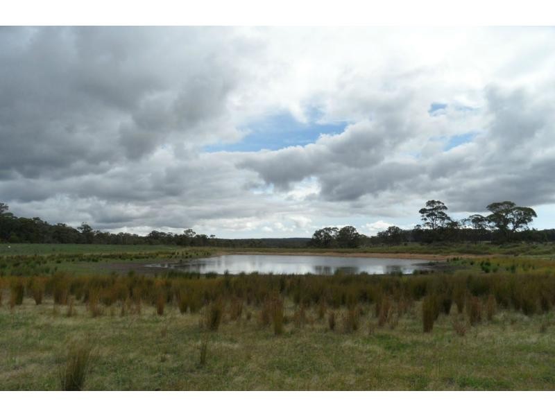 268 Rivertree Road, Liston, Stanthorpe QLD 4380