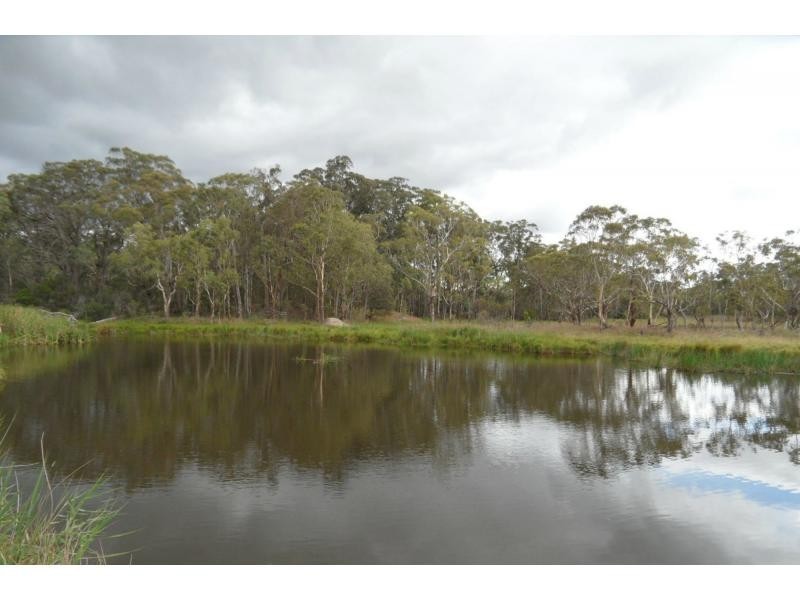 268 Rivertree Road, Liston, Stanthorpe QLD 4380