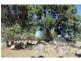 86a Mt Norman Road, Wallangarra, Stanthorpe QLD 4380
