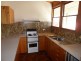 173 Newlands Road, Cottonvale, Stanthorpe QLD 4380