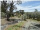46 Sugarloaf Road, Stanthorpe QLD 4380