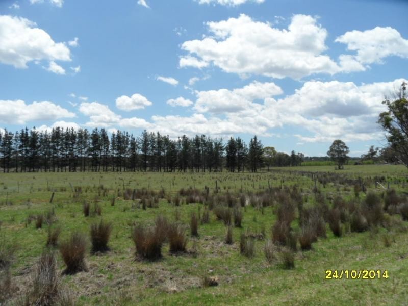 136 Gangemi Road, Cottonvale, Stanthorpe QLD 4380