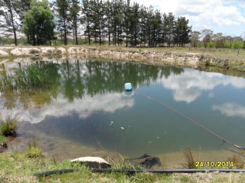 136 Gangemi Road, Cottonvale, Stanthorpe QLD 4380