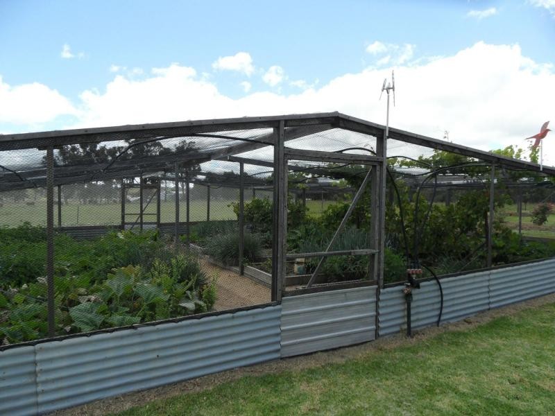 49 Hamilton Road, Dalveen, Stanthorpe QLD 4380