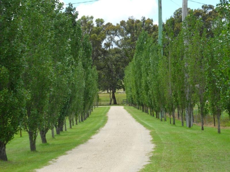 49 Hamilton Road, Dalveen, Stanthorpe QLD 4380