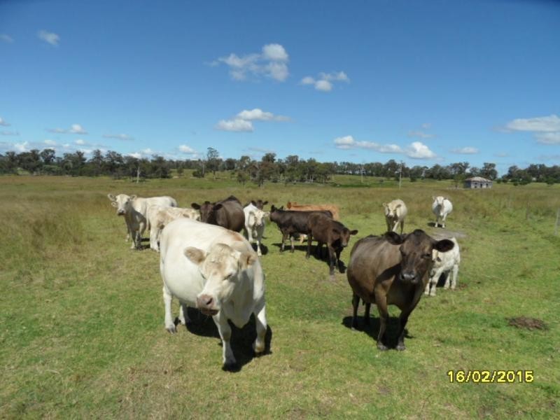 205 Ridge Road, The Summit, NSW, Stanthorpe QLD 4380