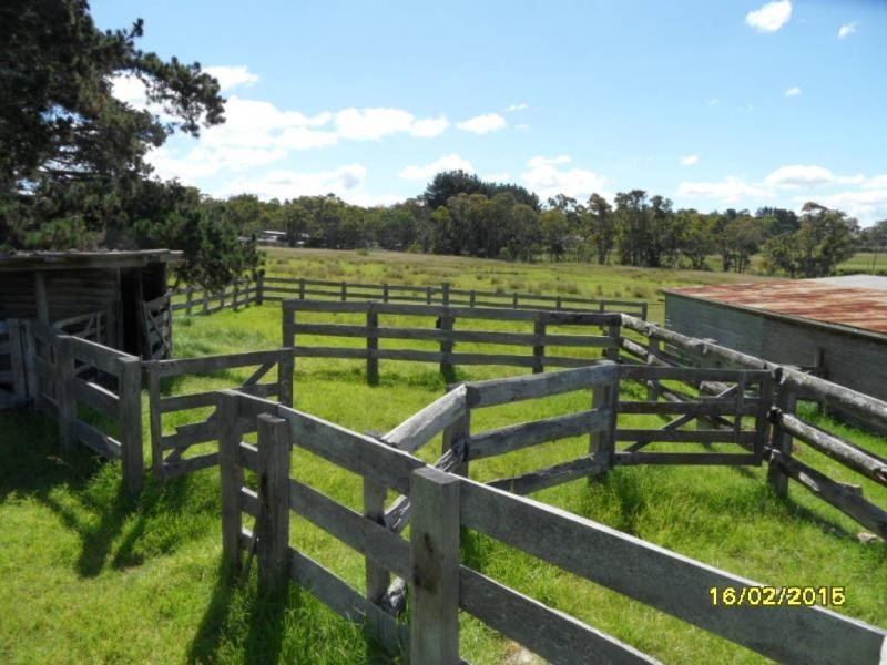 205 Ridge Road, The Summit, NSW, Stanthorpe QLD 4380