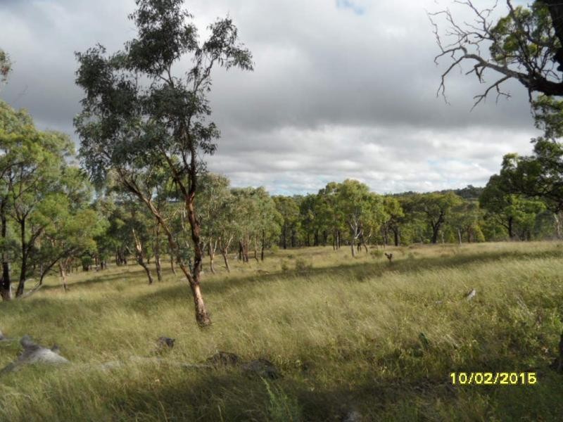 L87 & 21 Mt Janet Road, Amiens, Stanthorpe QLD 4380