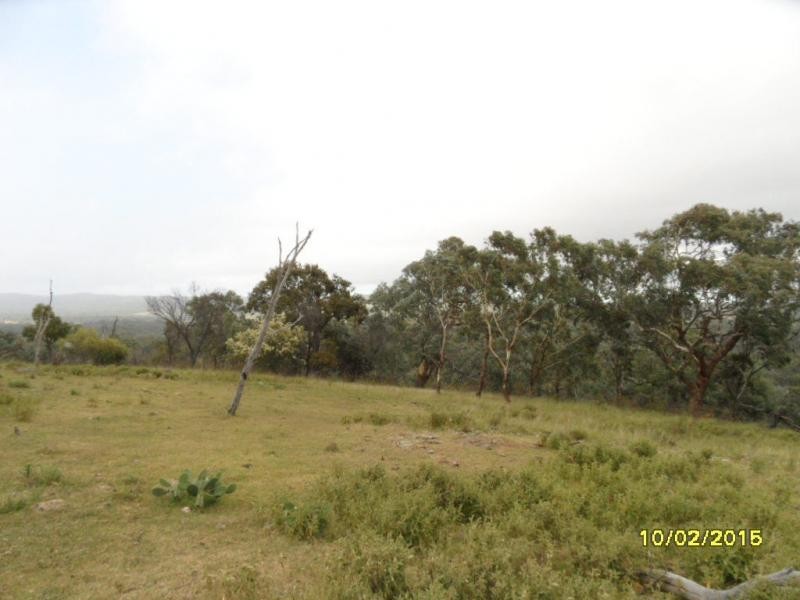 L87 & 21 Mt Janet Road, Amiens, Stanthorpe QLD 4380
