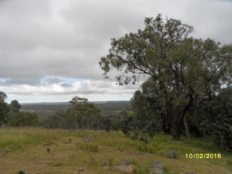 L87 & 21 Mt Janet Road, Amiens, Stanthorpe QLD 4380