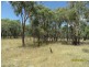 L86 Mt Janet Road, Amiens, Stanthorpe QLD 4380