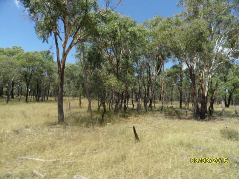 L86 Mt Janet Road, Amiens, Stanthorpe QLD 4380