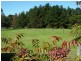 Lot 23 Mandelkow Road, The Summit, Stanthorpe QLD 4380