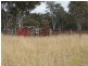 815 Amiens Road, Amiens, Stanthorpe QLD 4380