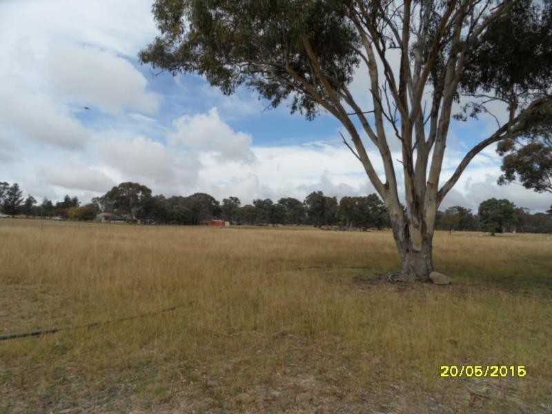 815 Amiens Road, Amiens, Stanthorpe QLD 4380
