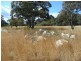 Lot 2 Thorne Lane , (off Dalcouth Road), Stanthorpe QLD 4380