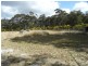 Lot 2 Thorne Lane , (off Dalcouth Road), Stanthorpe QLD 4380